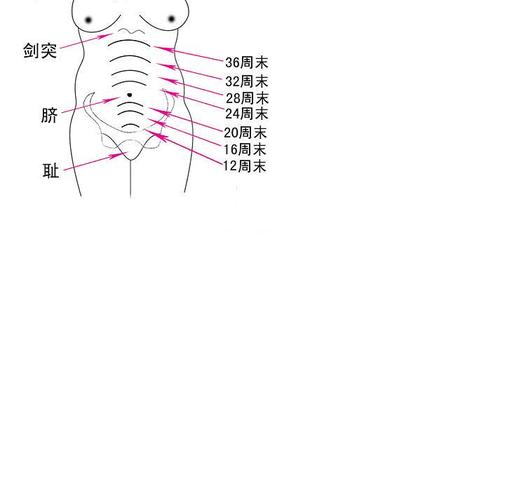 如何测宫高--图解(转)