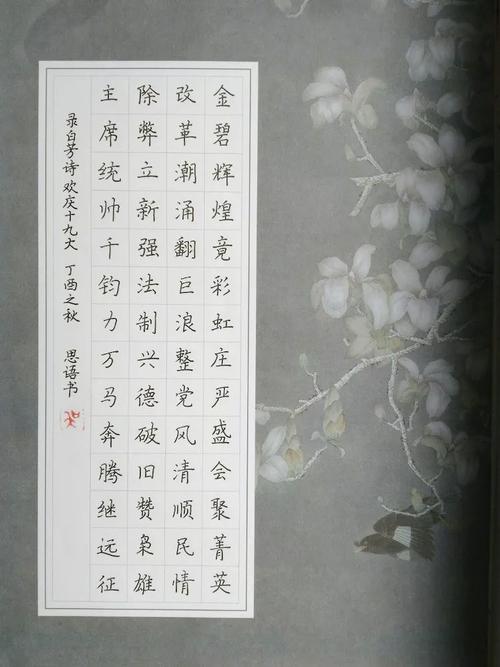 阜新美女大学生田朝阳,小学生吴思语,张乔乔硬笔书法作品欣赏