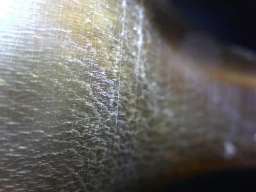 犀牛角的鉴别方法,你知道吗?