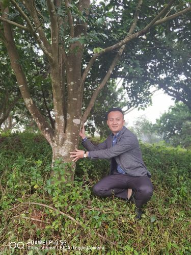 海南沉香收藏协会彭晋辉会长等考察美浪湾奇楠沉香基地