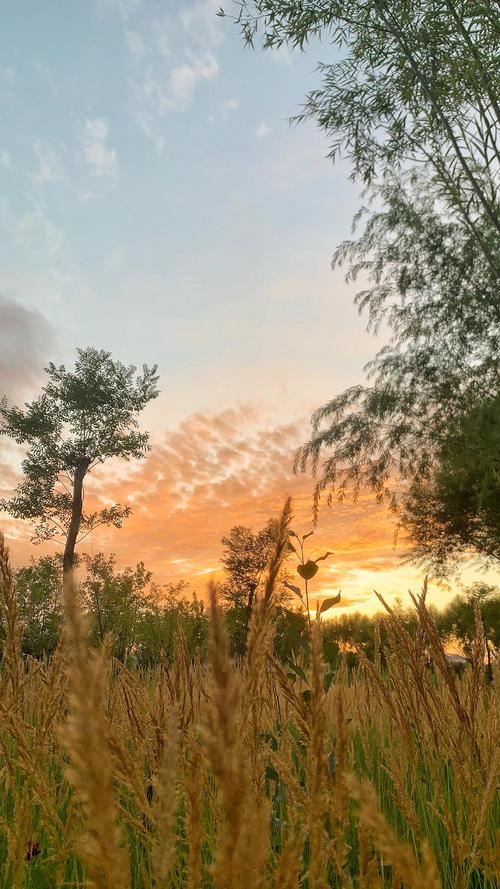 傍晚有时美好的不太真实