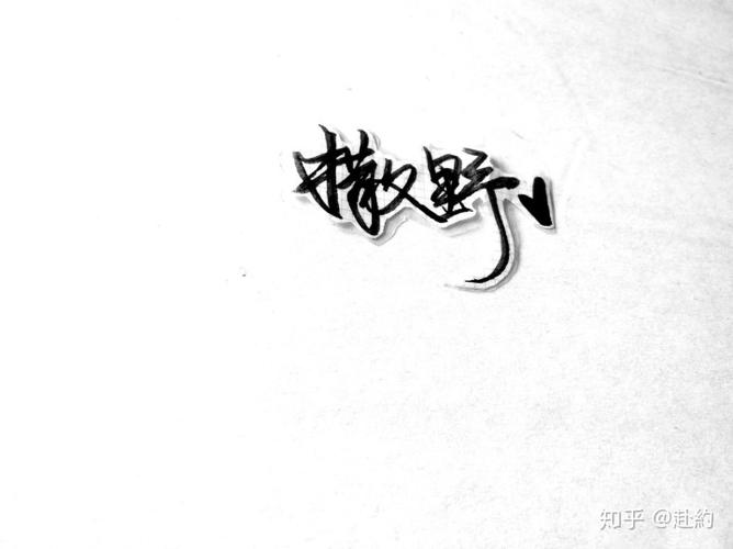 有关撒野的一切