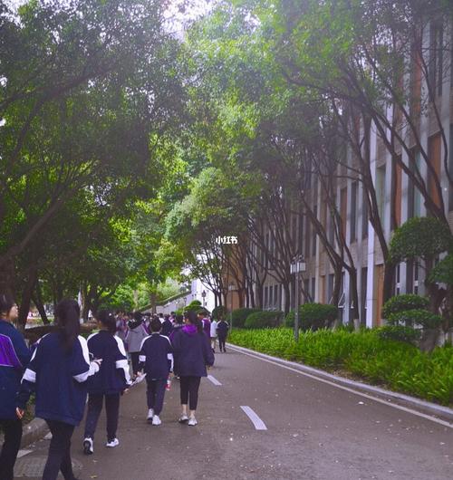 晚上6:00的鲁能巴蜀中学_重庆鲁能巴蜀中学_时代少年团_生活记录_校园