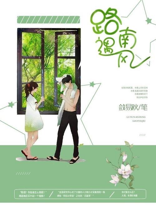 素锦封面