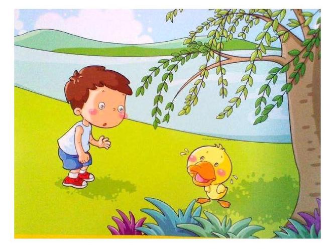 中班音乐:迷路的小花鸭ppt