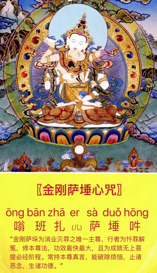 2020萨嘎月共修【金刚萨埵心咒】报名表