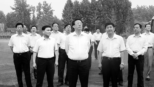 泌阳夏南牛:哞哞叫的"黄金"产业