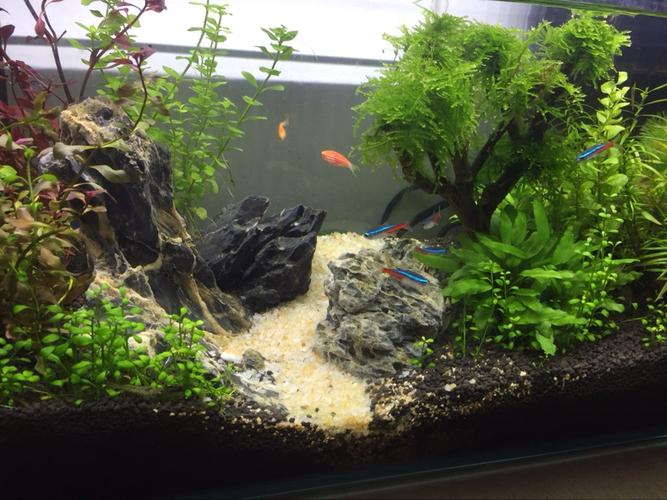 水晶砂鱼缸造景底砂装饰水族天然河沙多肉铺面三湖化妆底沙子乌龟