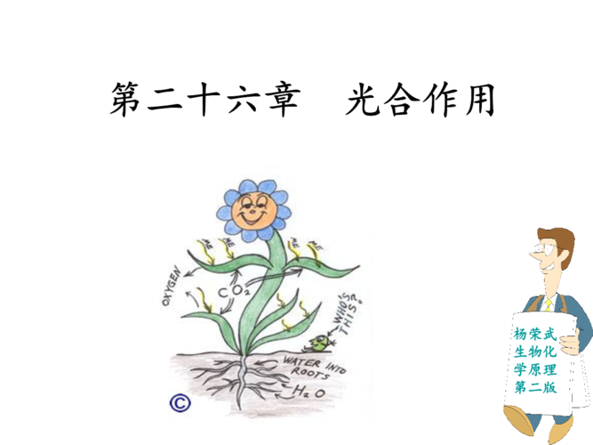 第二十六章 光合作用.ppt