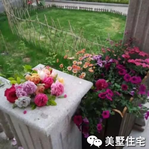 邻居80万的农村自建豪华别墅,养花种草超有田园气息