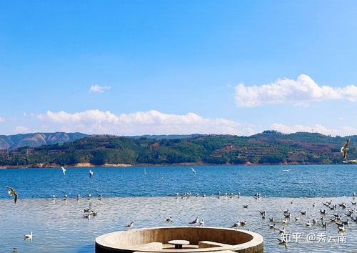 阳宗海美景|这里的水下世界你没见过,这里很大理,却又不一样