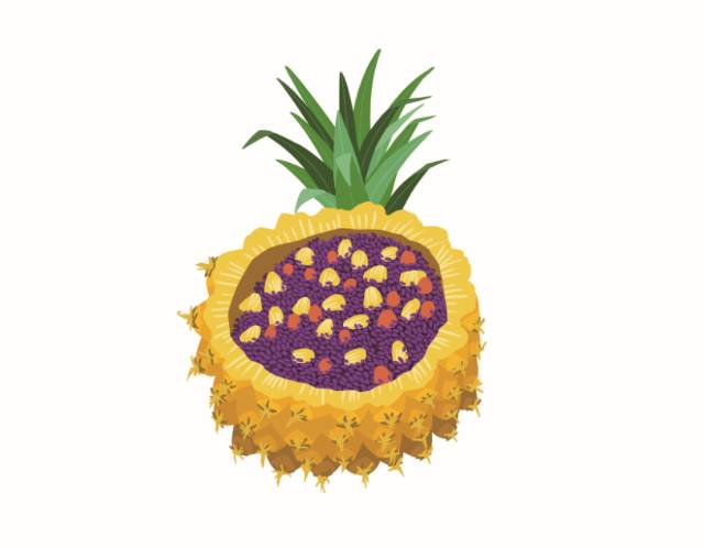 菠萝饭