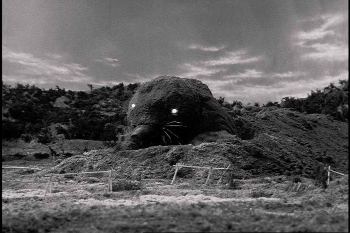 鼹鼠怪兽蒙古拉