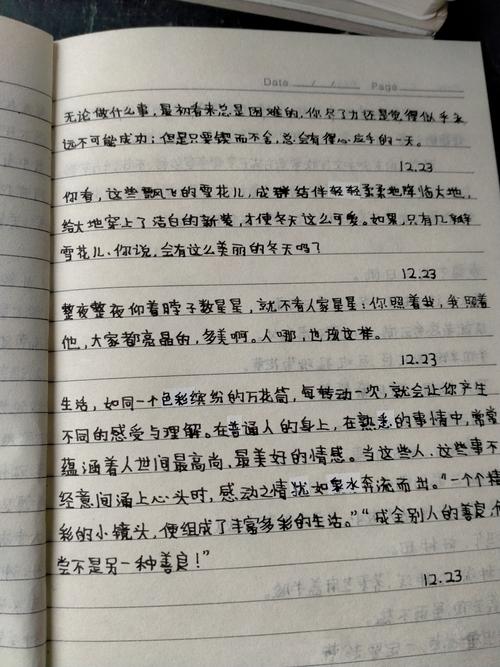 五年级12月21日～27日《采蜜集本》摘抄展示