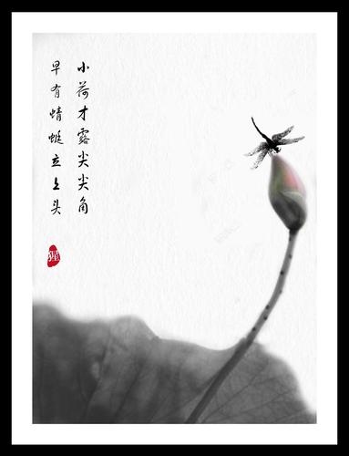 小荷才露尖尖角