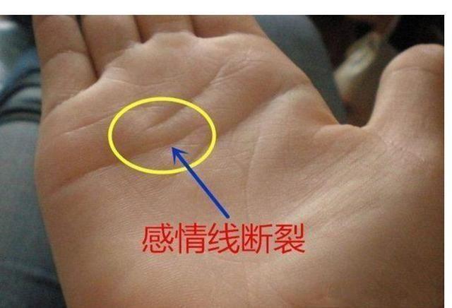 桃花最好人缘广的女人手相,婚姻好的令人羡慕!