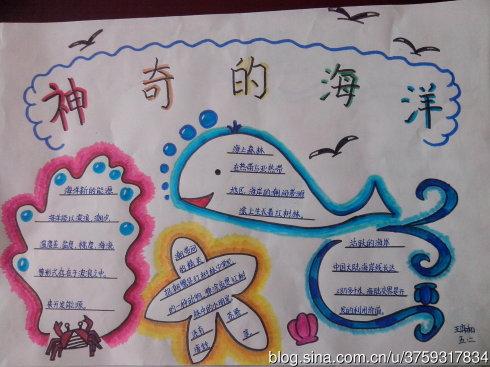 既好看又简单的关于海洋的手抄报 关于海洋的手抄报