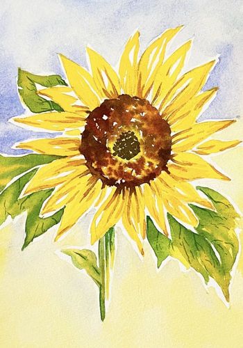 【水彩画练习】手绘唯美的花卉