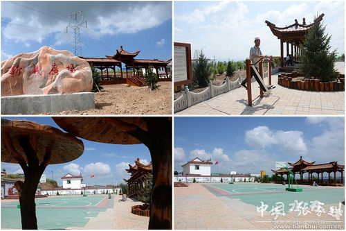 张家川县新义村的美丽蝶变(图)--天水在线