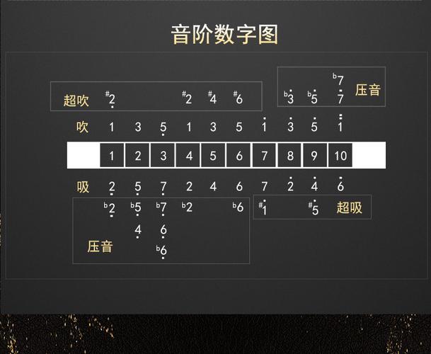 国光布鲁斯口琴10孔c调儿童初学者成人自学十孔口琴五色版 雅典黑_ 7