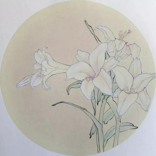 【国画教程】工笔百合花绘画步骤教程