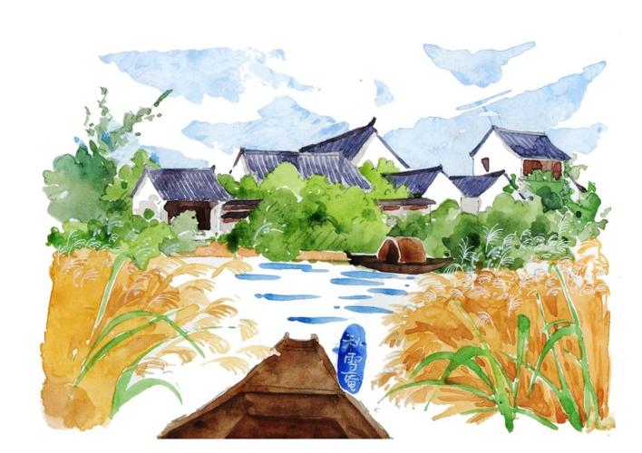 【西溪湿地验客】手绘带你赏芦苇 - 杭州游记攻略