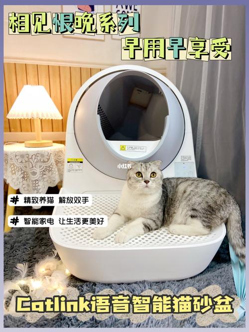 想偷懒换了全自动智能猫砂盆,结果真香6015_猫砂盆_猫咪_猫砂_养