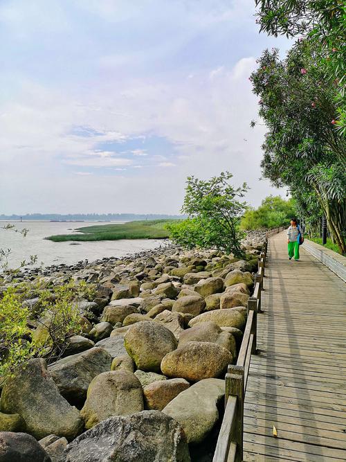 吴淞炮台湾湿地森林公园