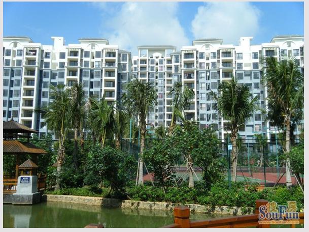 【万宁·椰林湾】·精装修现房楼盘----宝安地产首个热带雨林楼盘