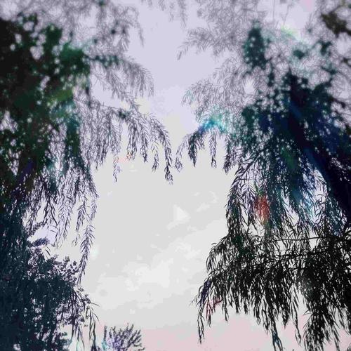 一晴方觉夏深