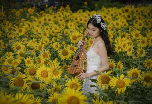 向日葵唯美人像