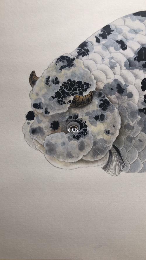 奶牛兰寿_兰寿_文化_绘画