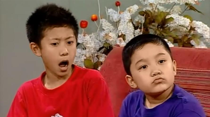 《家有儿女》精彩片段,承包了90后童年的快乐,刘星就