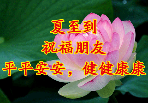 原创6月21日特别漂亮的夏至早上好问候动态图片最新夏至早安动态图片