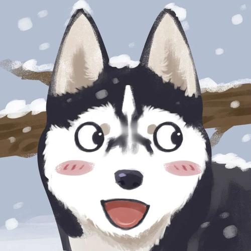 哈士奇/husky
