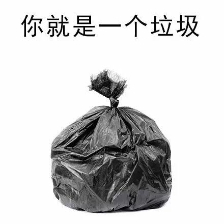 你就是一个垃圾表情包大全斗图表情