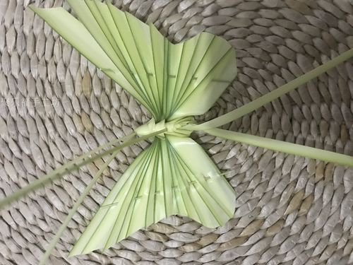 棕编工艺品传统手工艺新鲜棕叶编织蚂蚱草蜢蝗虫摄影道具长沙非遗