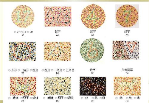 色盲检测图(第五版) 驾校考试 体检必备 自制最全最准确答案ppt