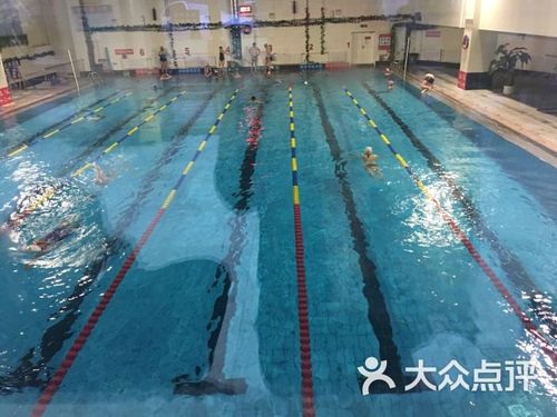 中山区市民健身中心图片   第1张             中山区健身中心游泳馆