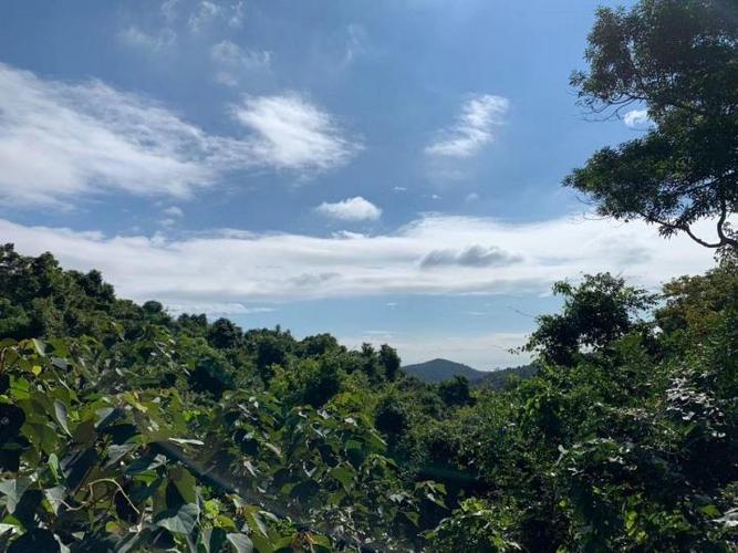 大小洞天风景区(原海山奇观风景区,古称鳌山大小洞天),景区已-三亚