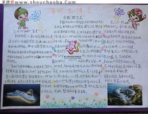 关于花博会手抄报-在线图片欣赏
