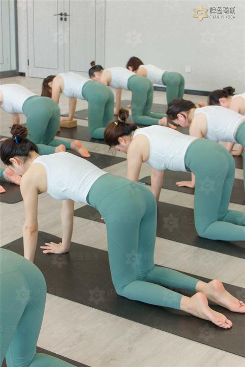 0基础学瑜伽教练去哪里来禅逸瑜伽