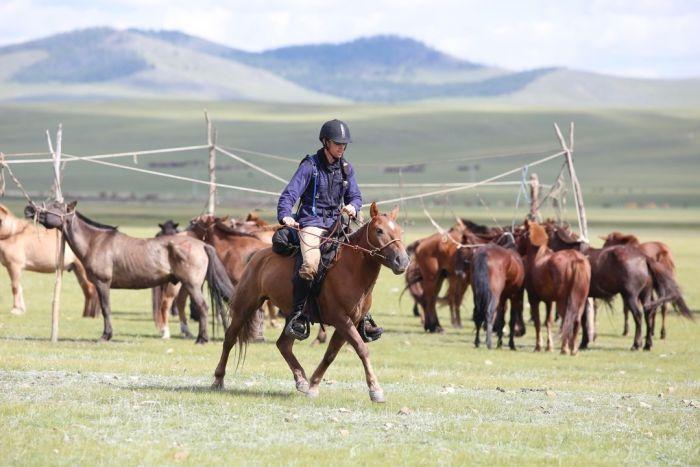 mongolian derby: australian olympian ed fernon wins world"s