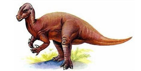 禽龙的生活习性