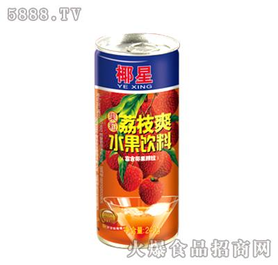 荔枝爽水果饮料240g
