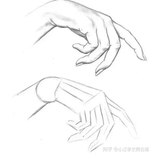 很多初学者,都会把人手,画成"鸡爪".