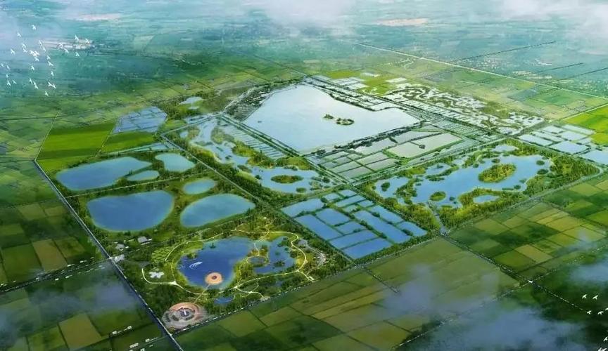美丽中国 | 2019潜江返湾湖湿地国际马拉松即将开跑!