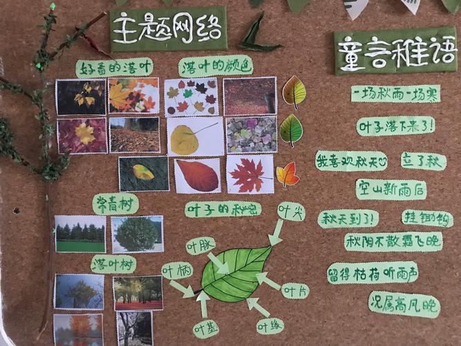 小班11月份主题活动——落叶飘飘