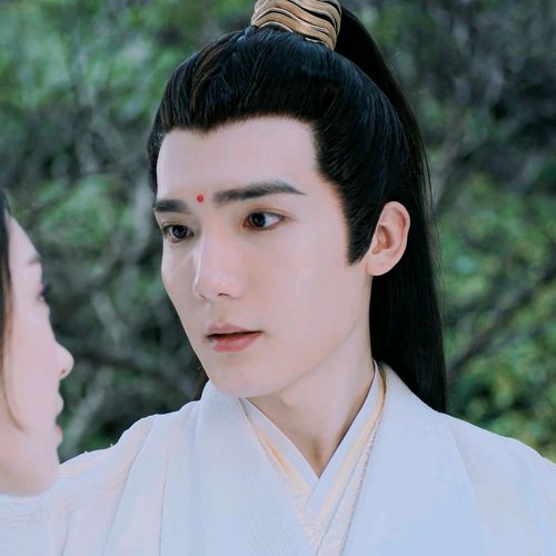 《陈情令》以后请叫我真香居士