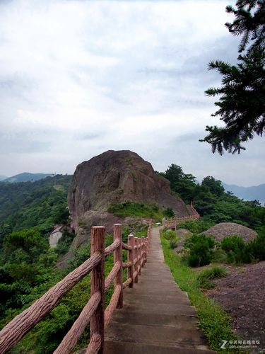 温岭石夫人